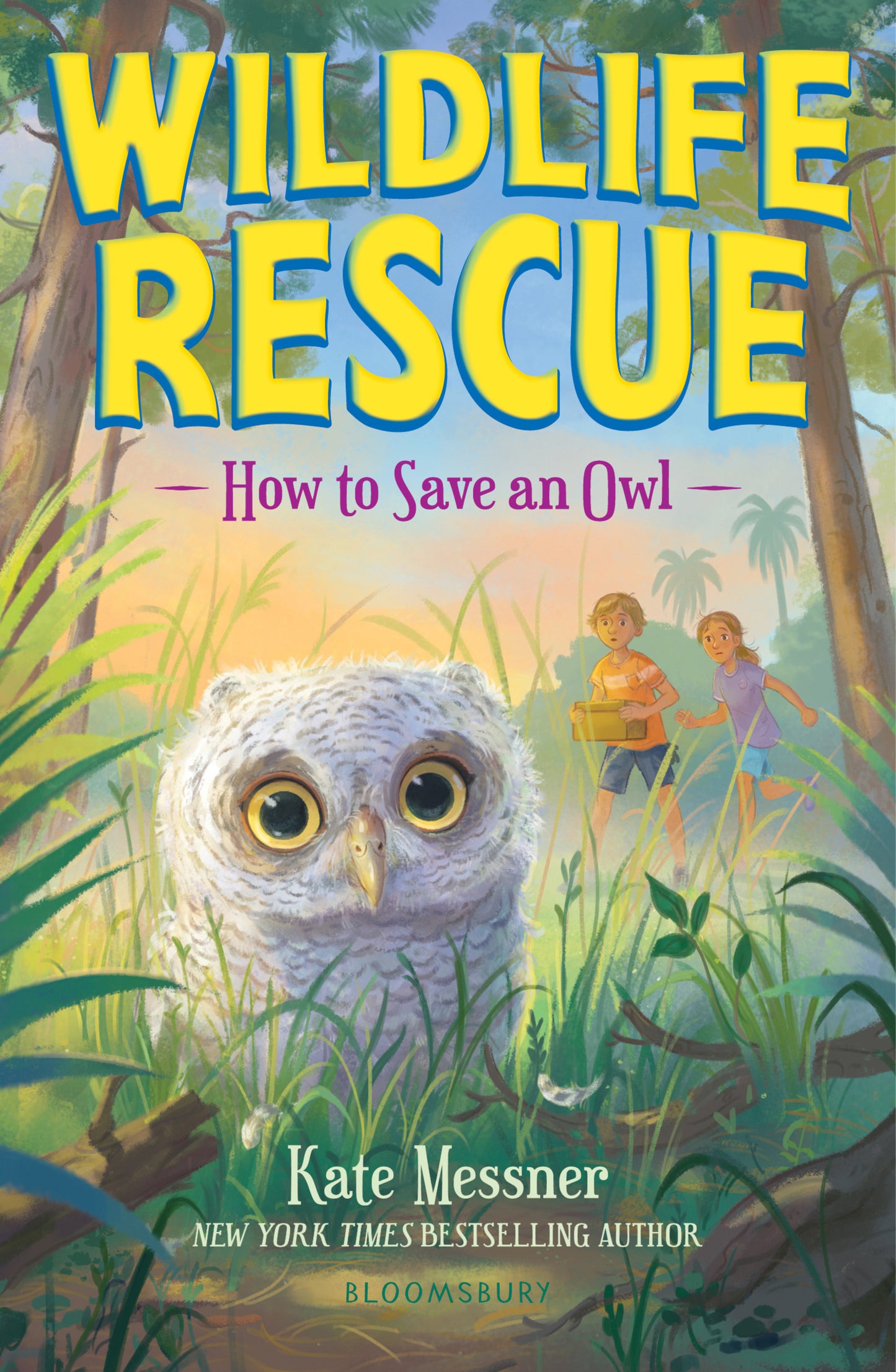 Wildlife Rescue: How to Save an Owl