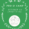 PRO-D DAY CAMP: Oct 23