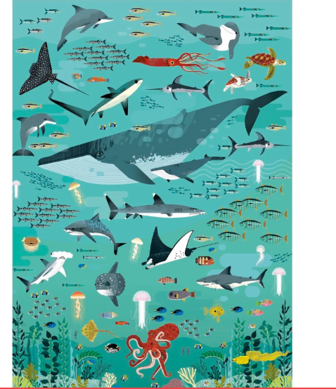 Ocean Discovery - 500 Piece Puzzle