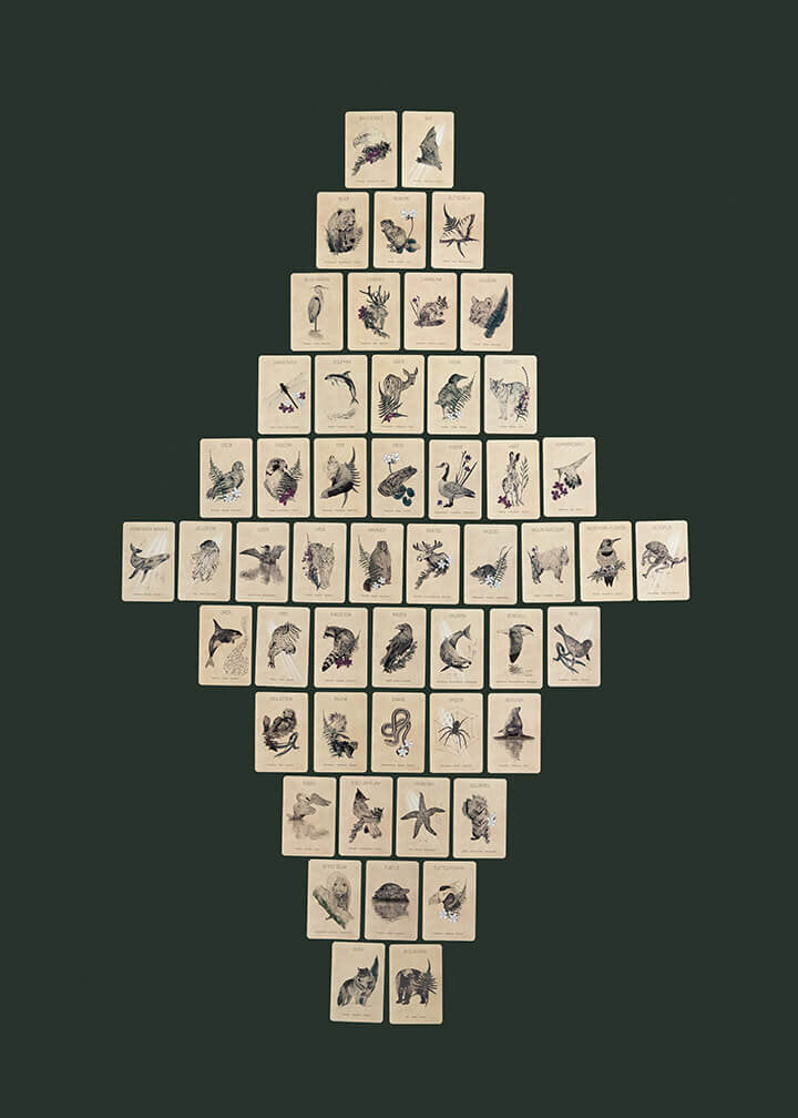 Great Bear Oracle Cards