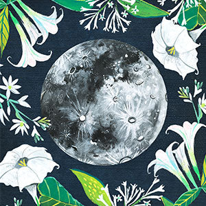 How to Be a Moonflower