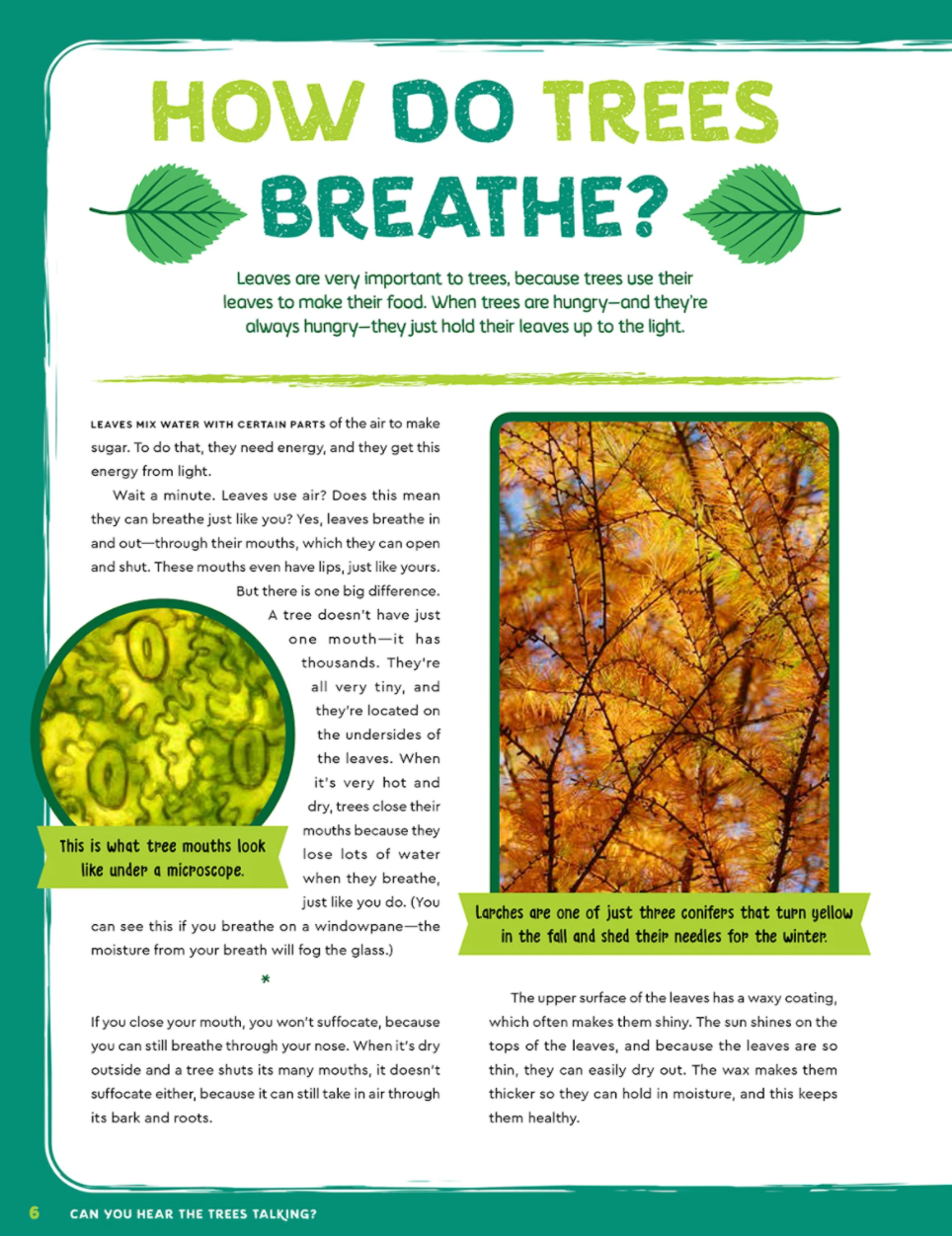 Can You Hear the Trees Talking?