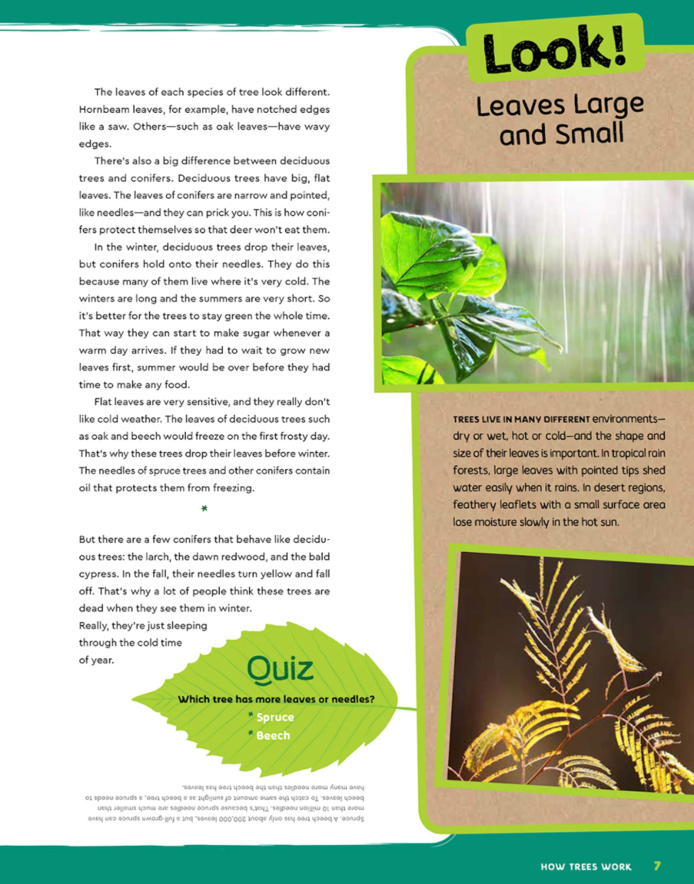 Can You Hear the Trees Talking?