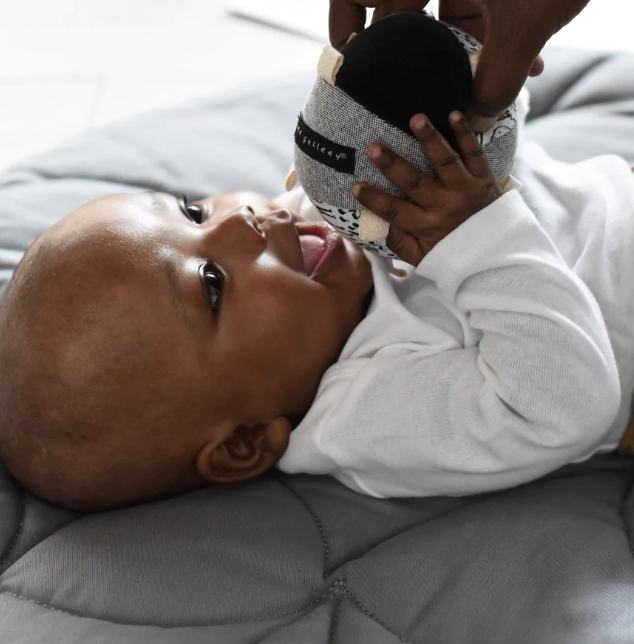 Taggy Ball with Rattle