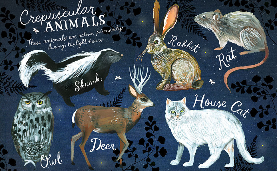 How to Be a Moonflower