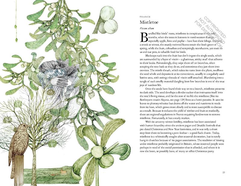 Around the World in 80 Plants