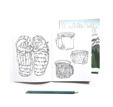 Wild Life Winter Colouring Book