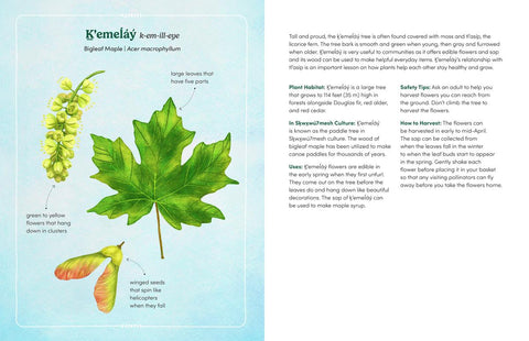The Land Knows Me: A Nature Walk Exploring Indigenous Wisdom