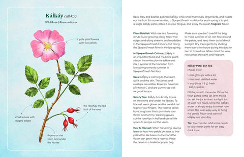 The Land Knows Me: A Nature Walk Exploring Indigenous Wisdom