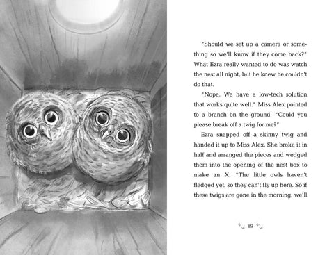Wildlife Rescue: How to Save an Owl