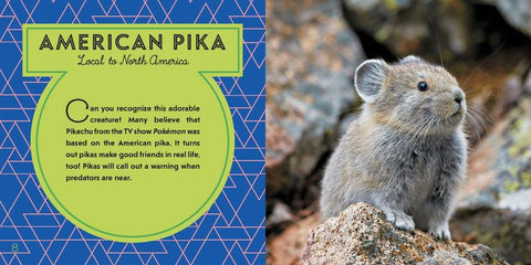 Lonely Planet World's Cutest Animals