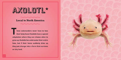 Lonely Planet World's Cutest Animals
