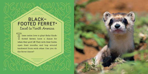 Lonely Planet World's Cutest Animals