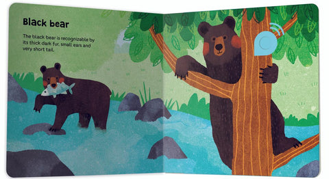 My Book of Sounds: Canadian Animals