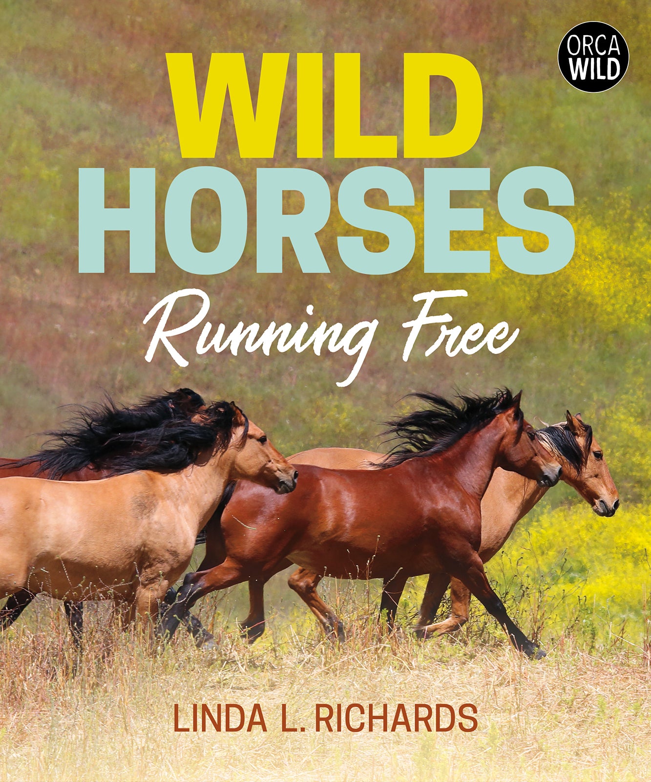 Wild Horses