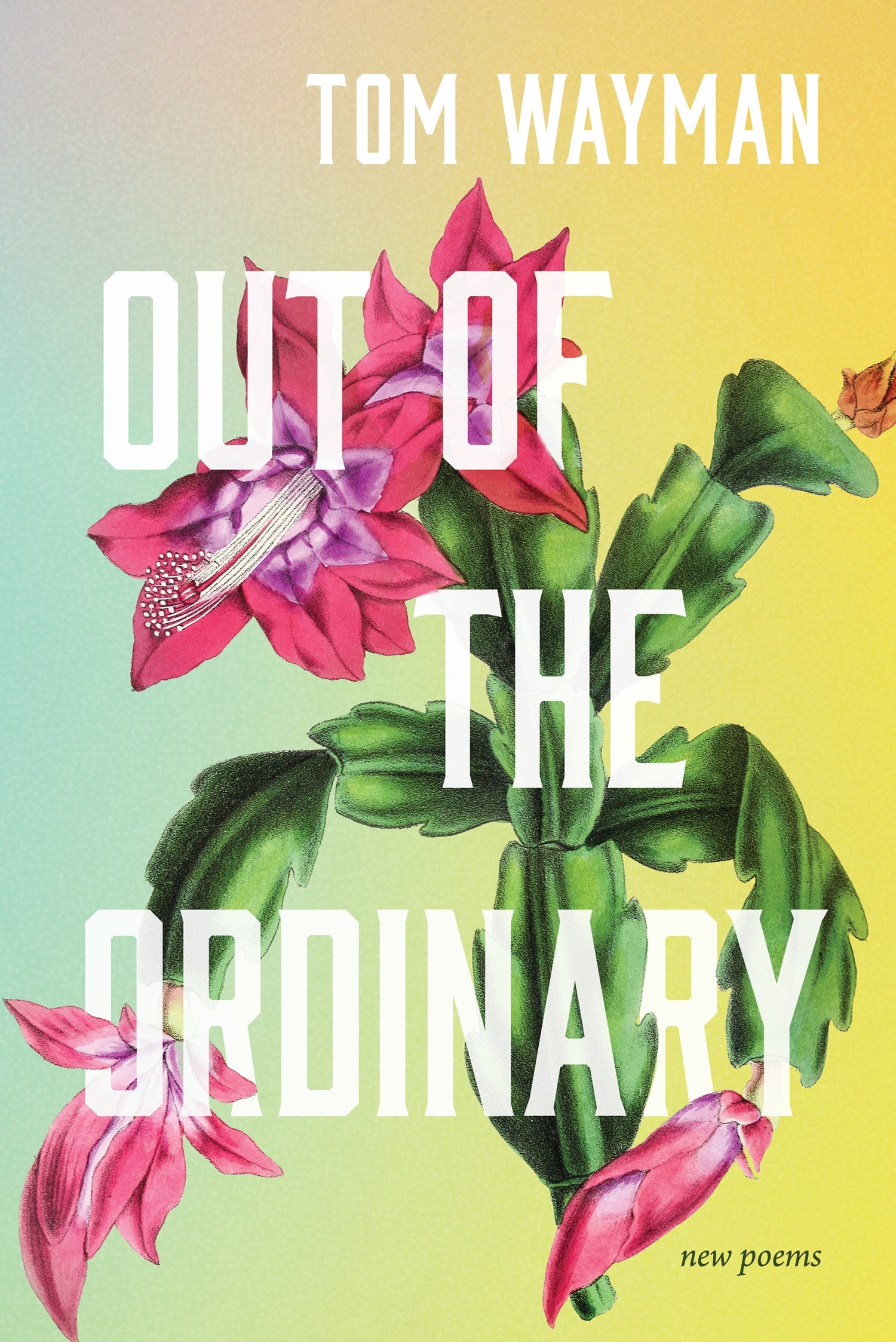 Out of the Ordinary