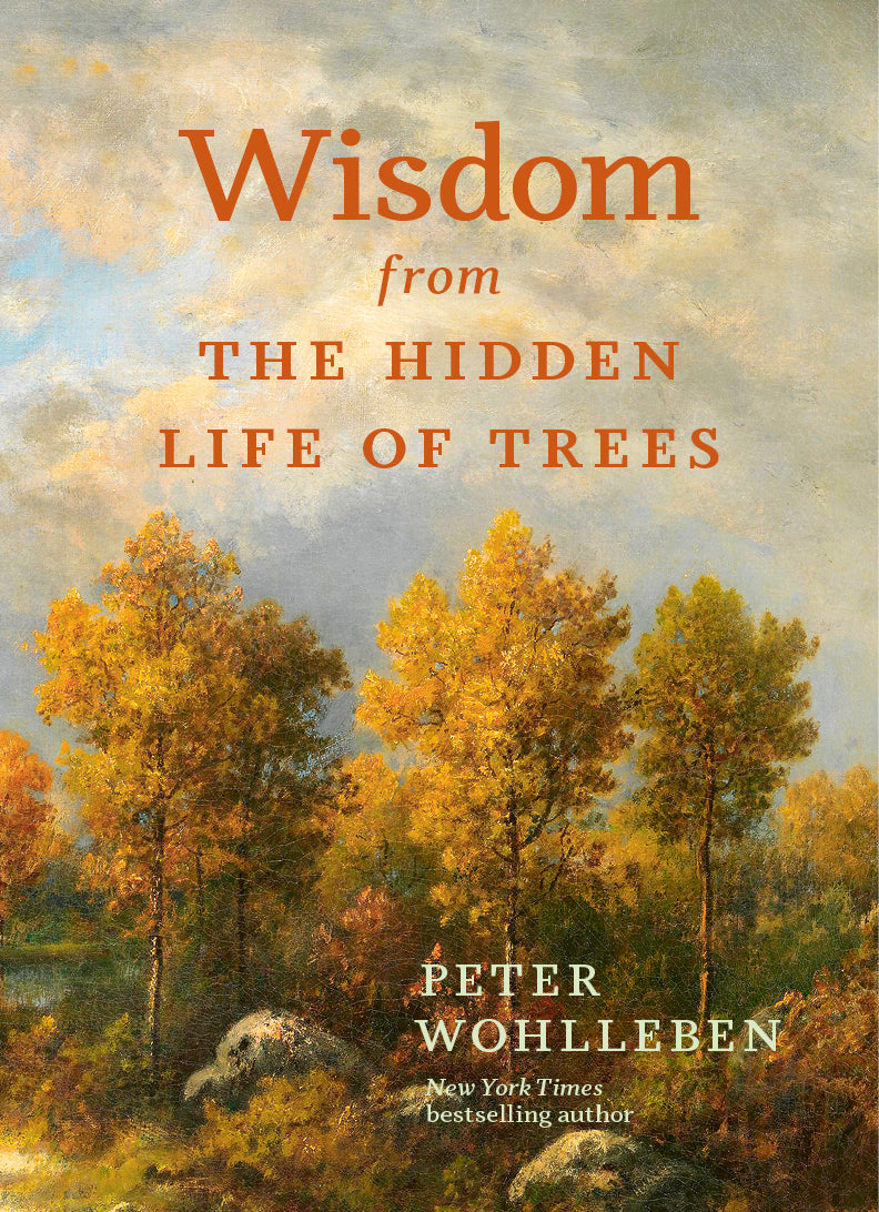 Wisdom From The Hidden Life of Trees