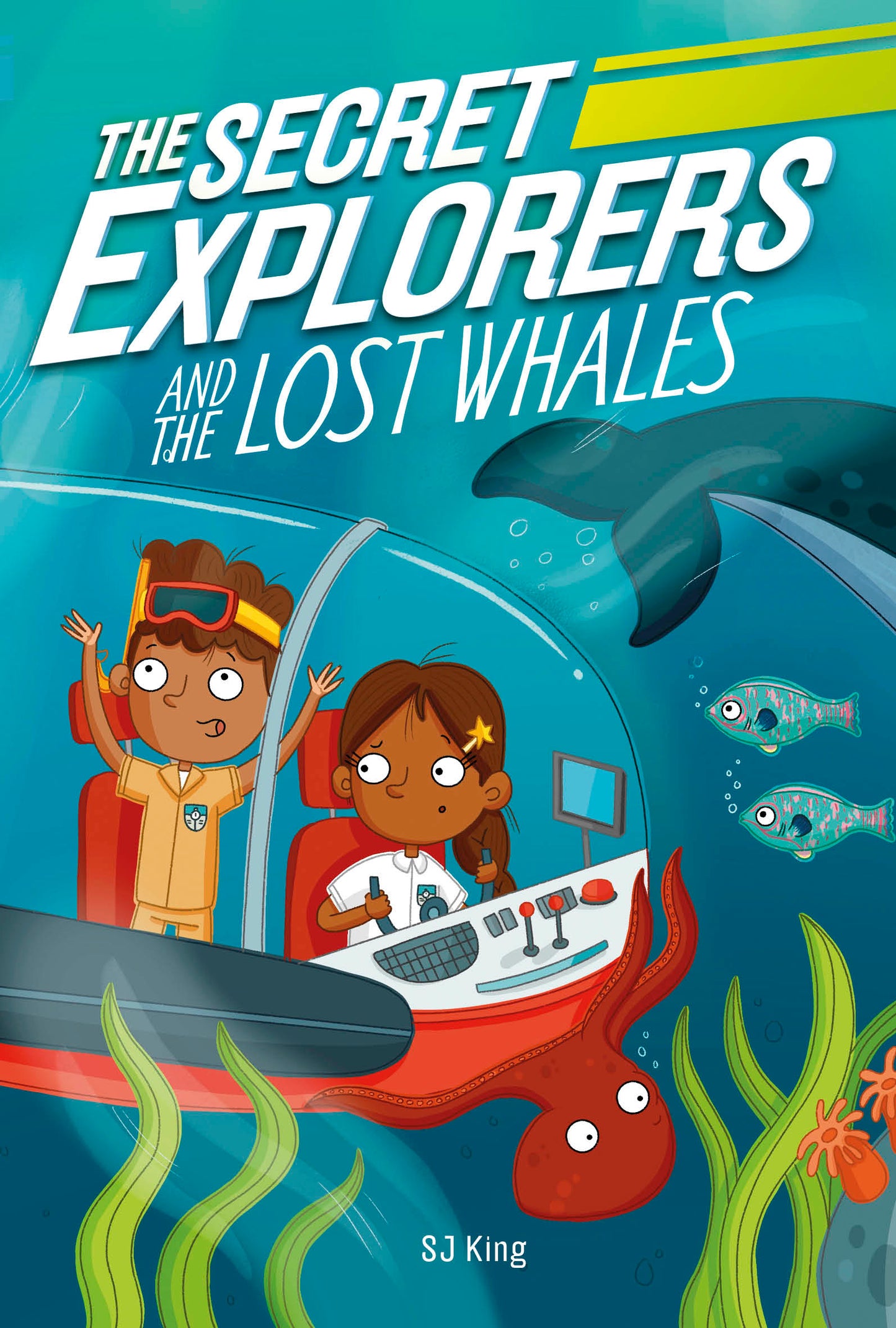 The Secret Explorers and the Lost Whales