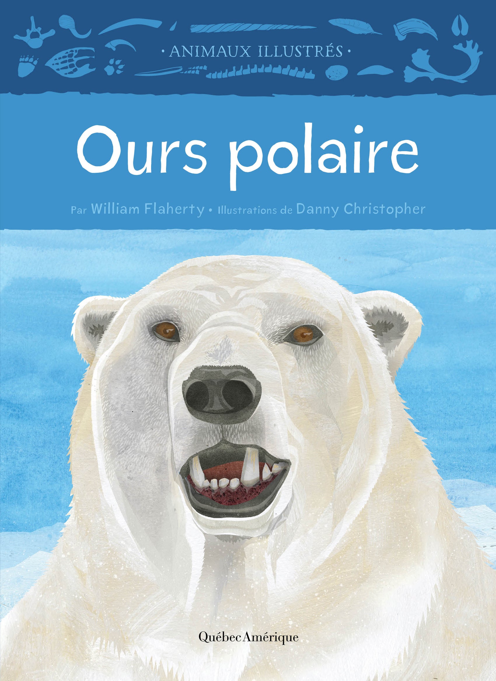 Ours polaire