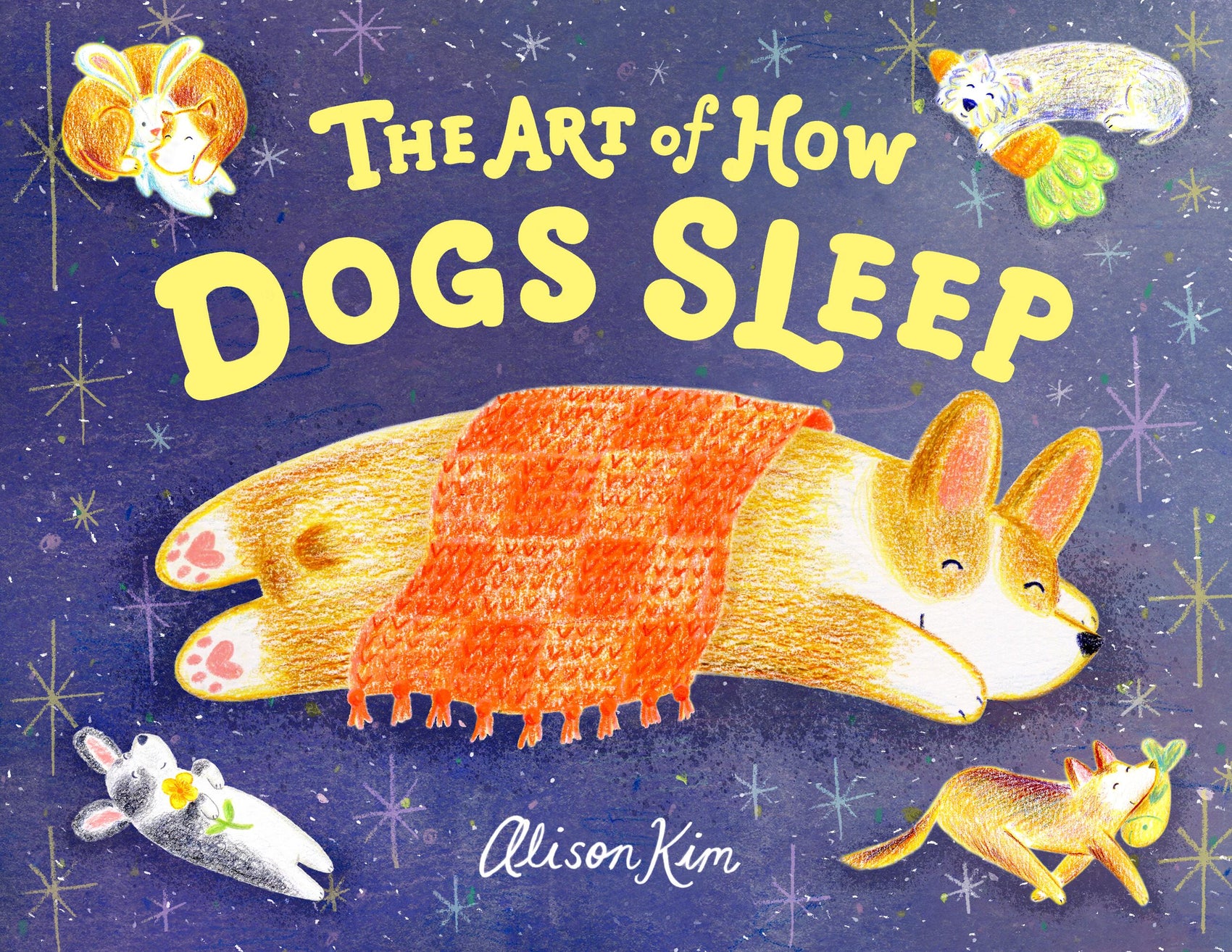 The Art of How Dogs Sleep