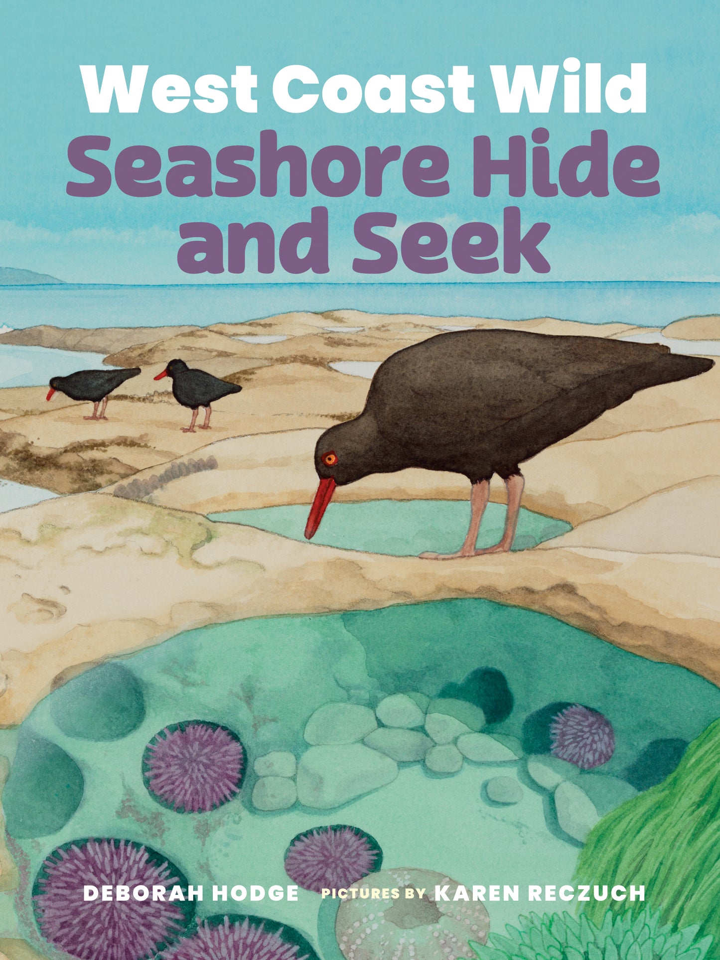 West Coast Wild Seashore Hide and Seek