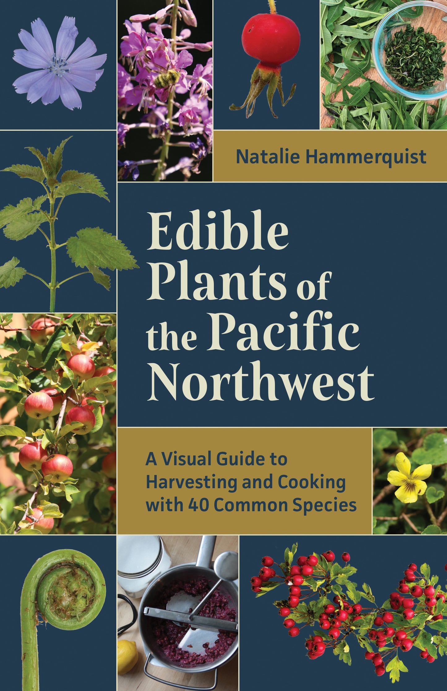 Edible Plants of the Pacific Northwest