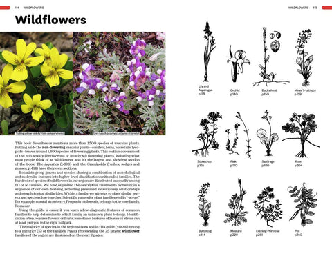 Plants of the Pacific Coast: From Alaska to Oregon, including British Columbia and Washington