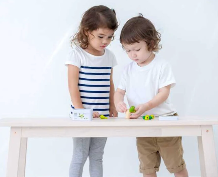 Mini Balancing Cactus