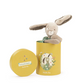 Trois Petits Lapins - Sage Rabbit in Box