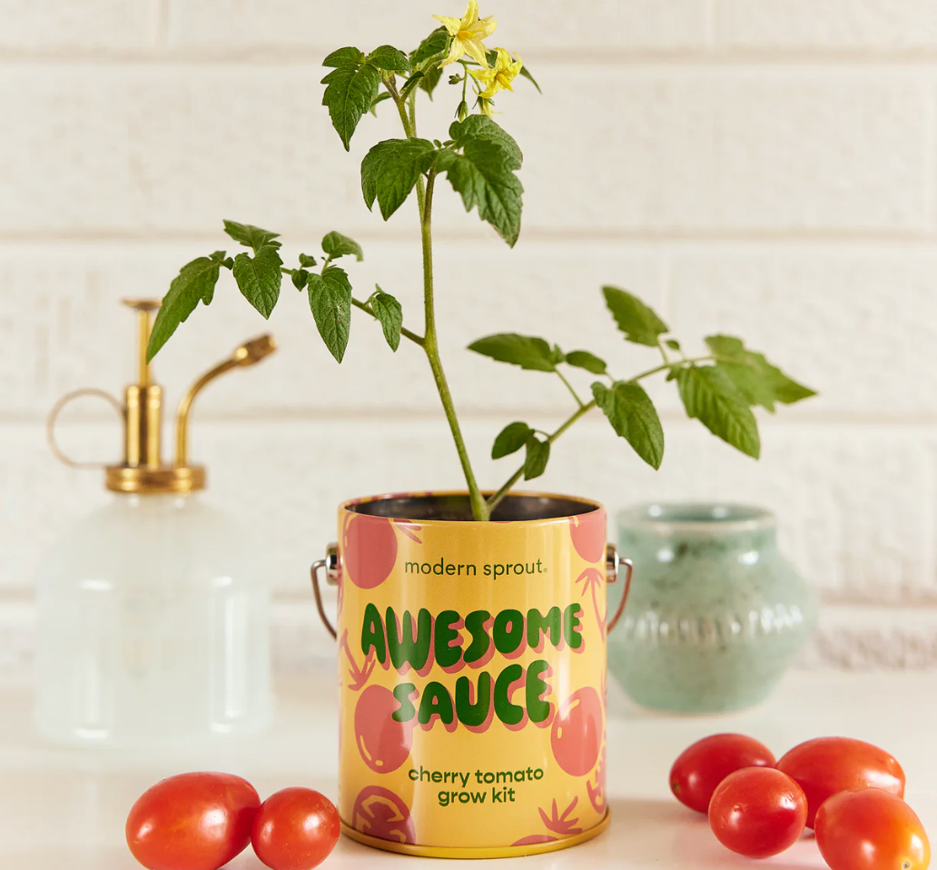 Complimentary Colors Grow Kits