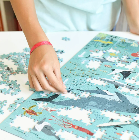 Ocean Discovery - 500 Piece Puzzle