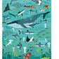 Ocean Discovery - 500 Piece Puzzle