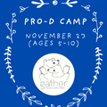 PRO-D DAY CAMP: Nov 23