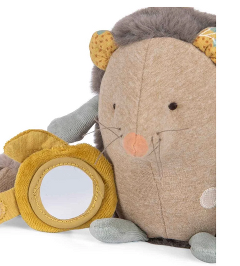 Activity Hedgehog