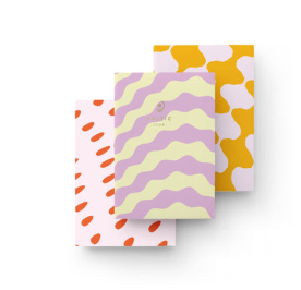 Pocket Notebook Set - Baltic Club