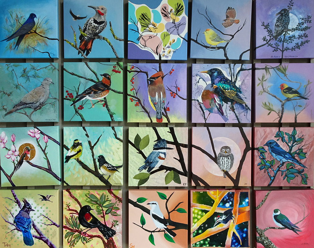Birds 'n Words