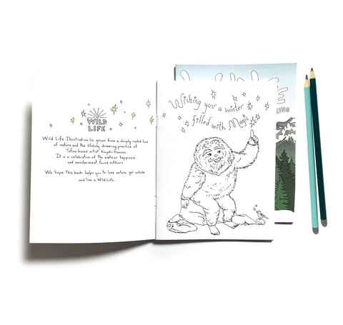 Wild Life Winter Colouring Book