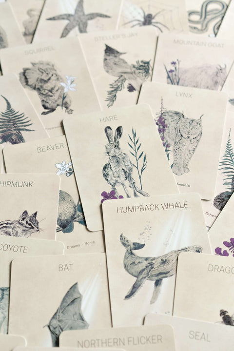 Messengers from the Great Bear Oracle Deck