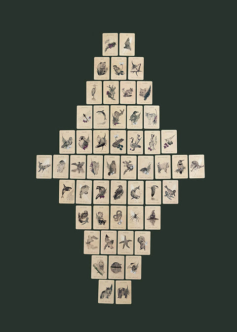 Messengers from the Great Bear Oracle Deck