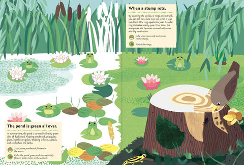 In the Forest: My Nature Sticker Activity Book