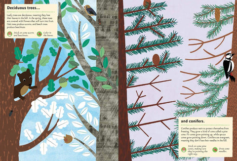 In the Forest: My Nature Sticker Activity Book