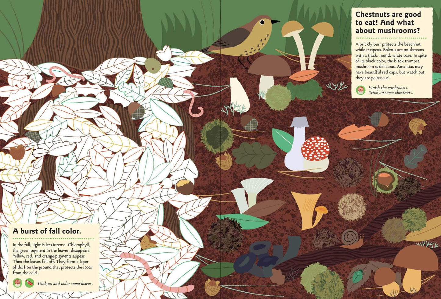 In the Forest: My Nature Sticker Activity Book