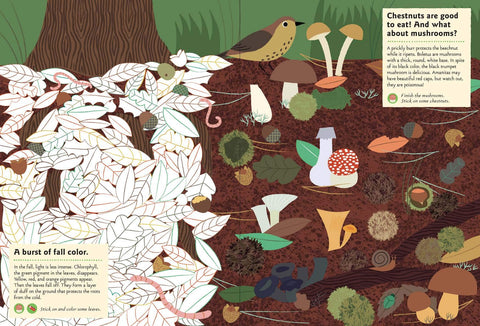 In the Forest: My Nature Sticker Activity Book