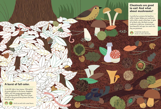 In the Forest: My Nature Sticker Activity Book