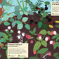 In the Forest: My Nature Sticker Activity Book