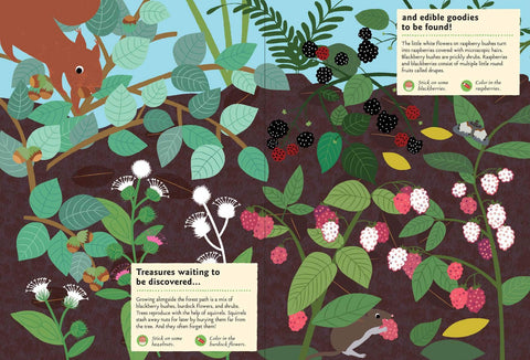 In the Forest: My Nature Sticker Activity Book