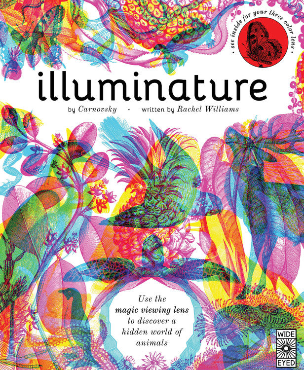 Illuminature