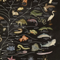 Animalium