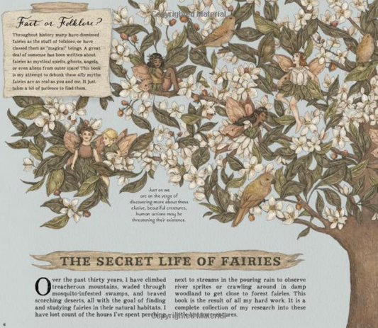 A Natural History of Fairies