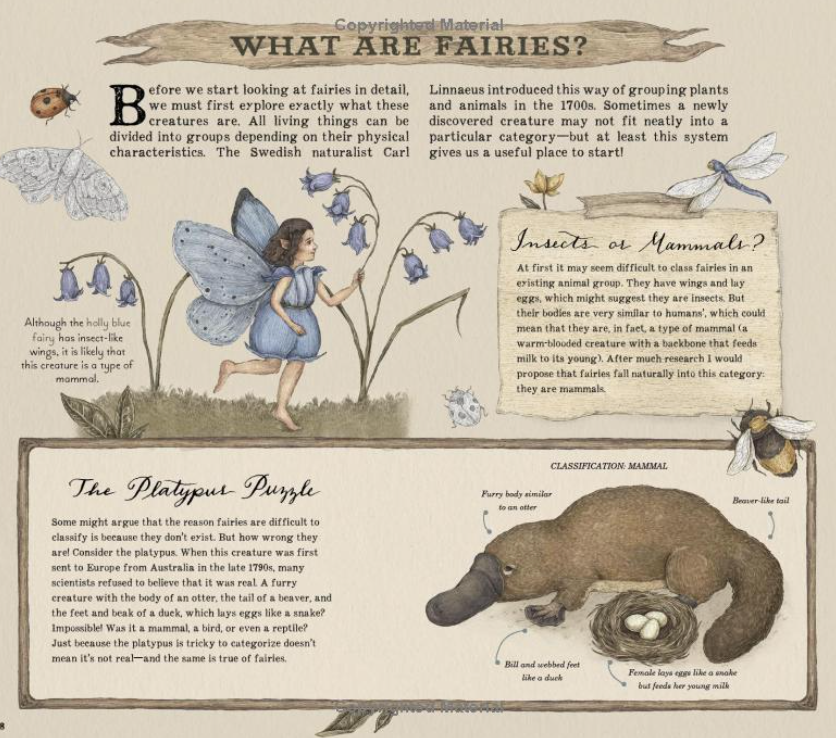 A Natural History of Fairies